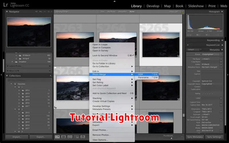 Tutorial Lightroom: Panduan Lengkap untuk Mengedit Foto