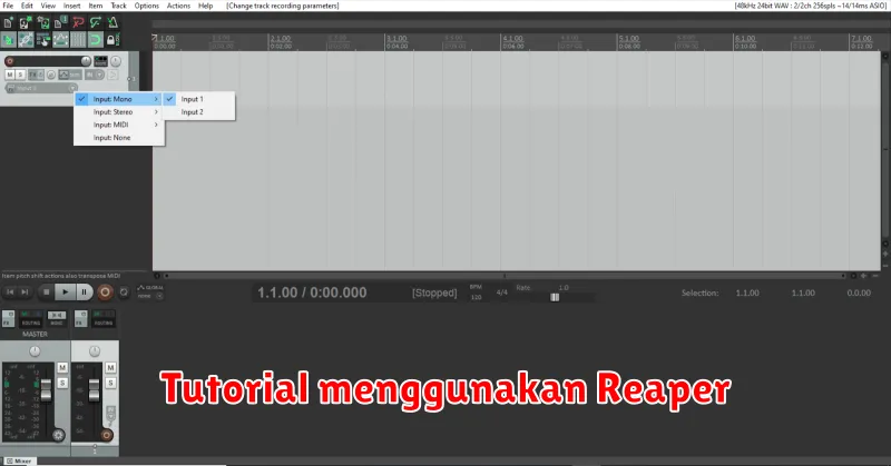 Tutorial Lengkap Menggunakan Reaper: Dari Dasar hingga Mahir